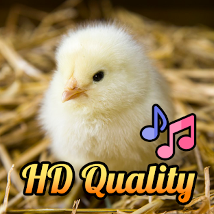 MOS - Chicks Sounds